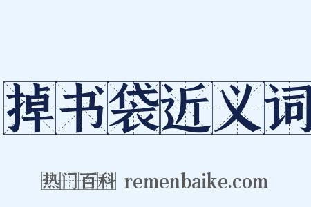 掉书袋近义词是什么意思的图片